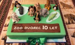 10 let zoo a křtiny tygříka