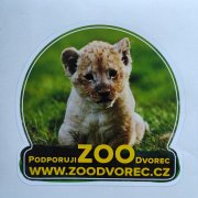 Samolepka Podporuji ZOO Dvorec - Lev pustinný